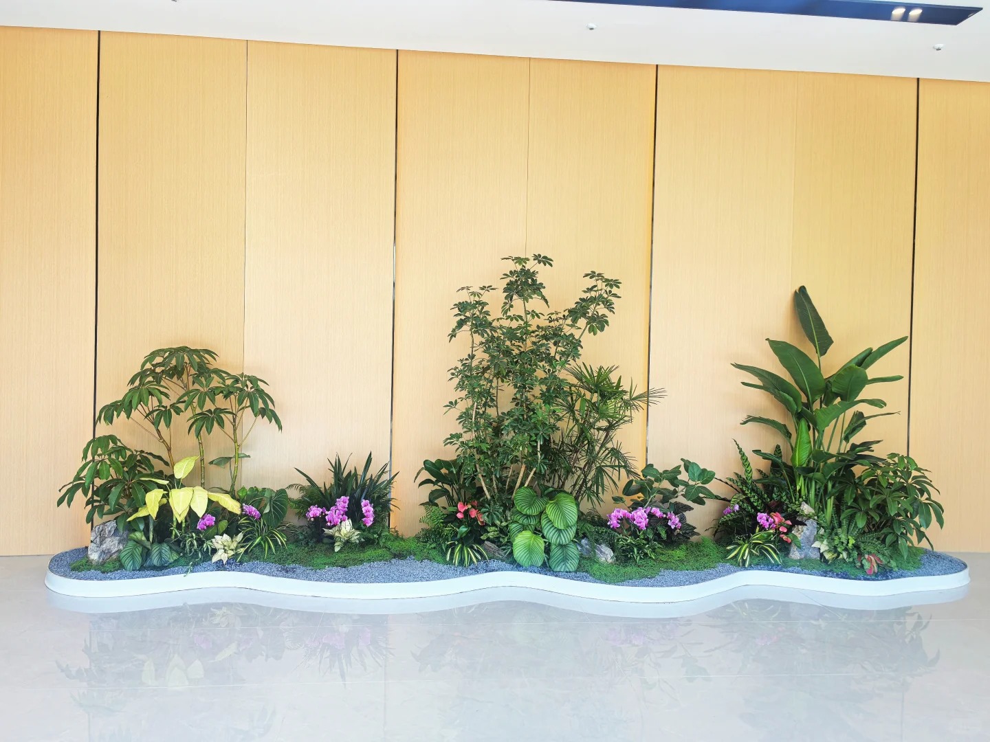 余姚植物租摆,给您的生活增添一抹自然绿